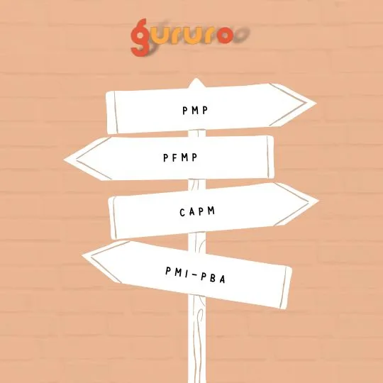 Navigating the PMI Certification Maze Choosing the Right Path for Your Career 14 Navigating the PMI Certification Maze Choosing the Right Path for Your Career