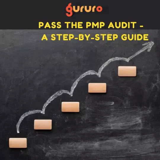 Pass the PMP Audit : A Step-by-Step Guide 6 Pass the PMP Audit A Step-by-Step Guide