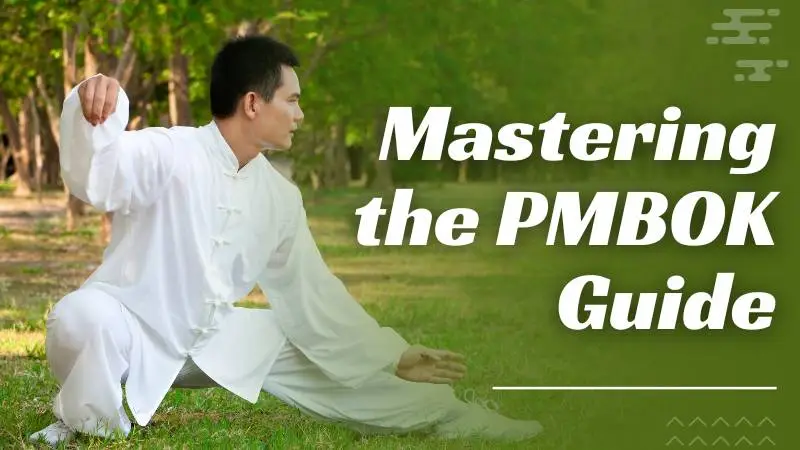 Mastering the PMBOK Guide : Strategies for Effective Learning 2 Mastering The PMBOK Guide image