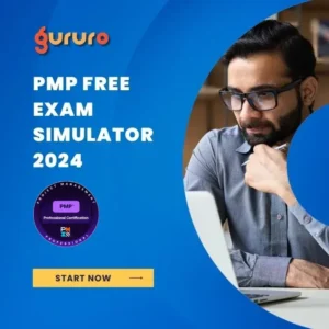 Free PMP Simulator