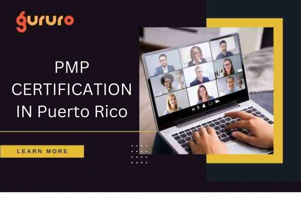 PMP Certification in Puerto Rico A Comprehensive Guide to Your Project Management Success 5 PMP Certification in Puerto Rico image