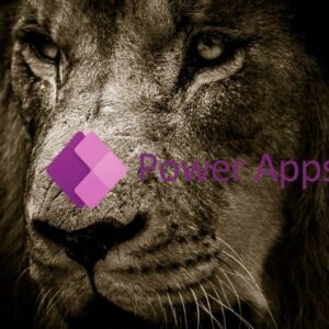 Power Apps interview Questions Practice Tests