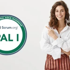 Professional Agile Leadership I Practice Tests