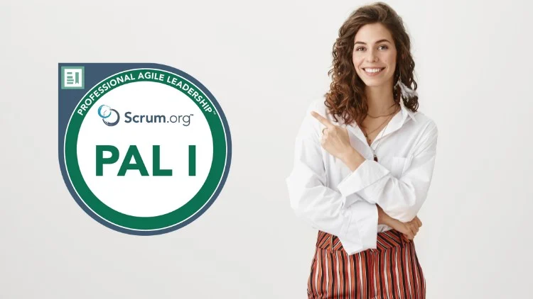 Professional Agile Leadership I Practice Tests