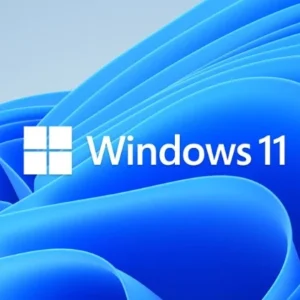 Windows 11 Basics to Advanced Practice Exams