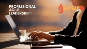 Best Professional Agile Leadership I Practice Tests