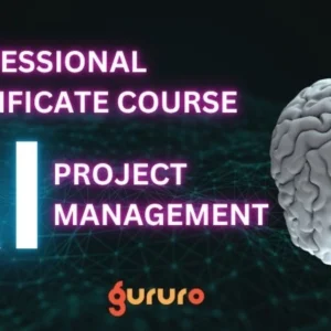 Professional Certificate Course in AI Project Management image